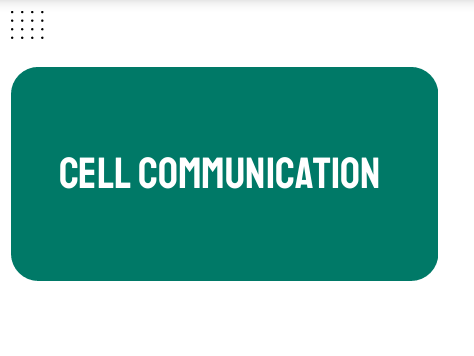 AP Biology Unit 4: Cell Communication