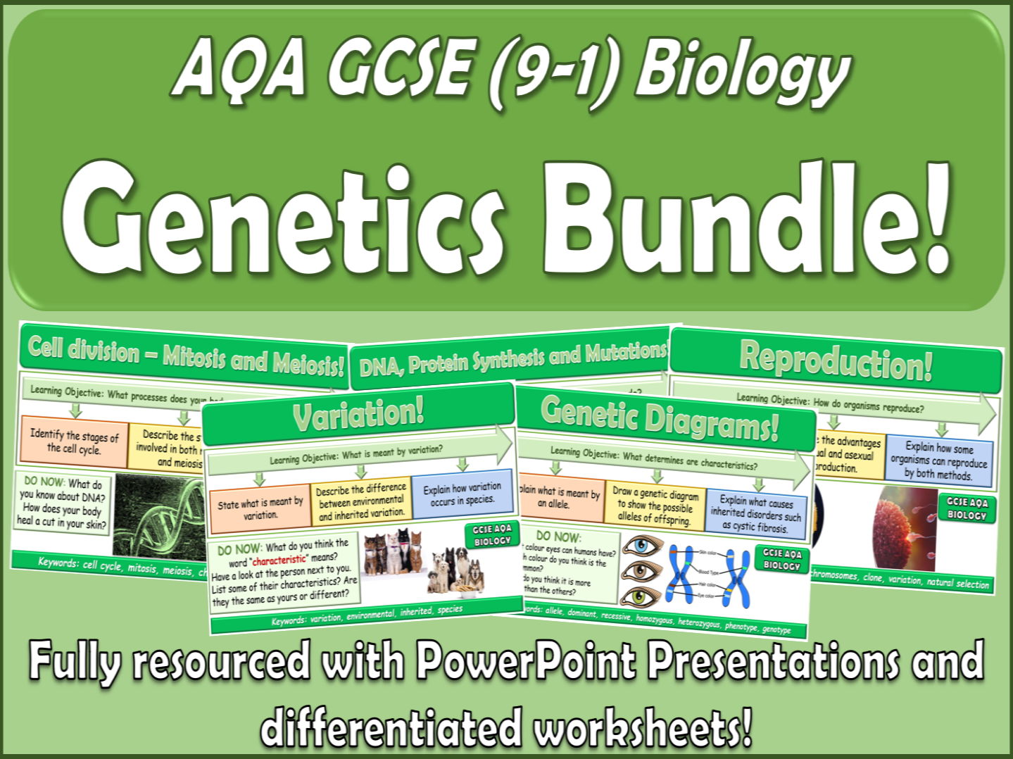 Genetics AQA GCSE (9-1) Biology Bundle