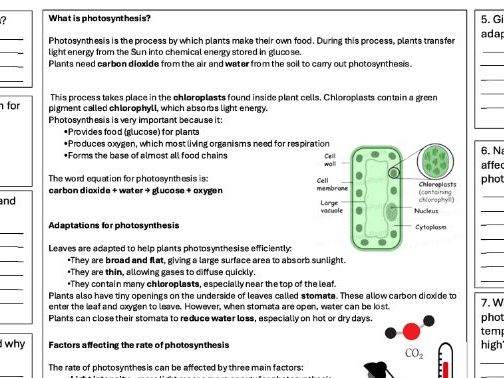 KS3 Photosynthesis Comprehension sheet | Teaching Resources