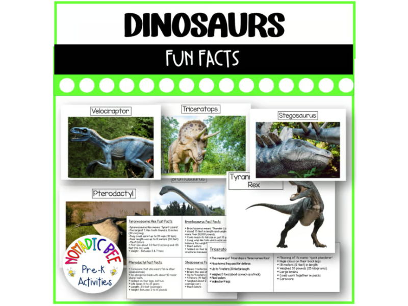 Dinosaur Fun Facts