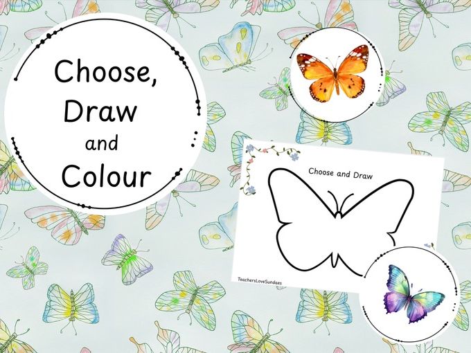 Butterfly Choose,Draw and Colour