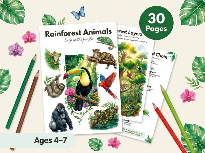 Rainforest Animals Worksheets | Jungle | Ages 4-7 | Toucan Sloth Jaguar | PDF