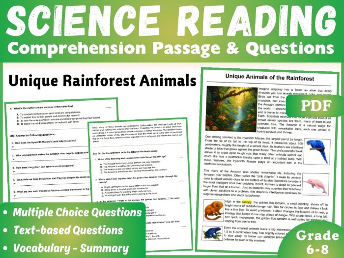 Life Science Reading Comprehension Passage: Rainforest Animals