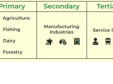 CIE iGCSE Business 1.2.1 and 1.2.2 Economic sectors and classification