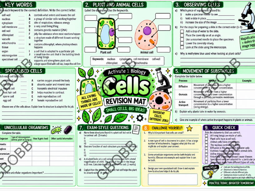 KS3 Activate 1 Biology: Cells Revision Mat