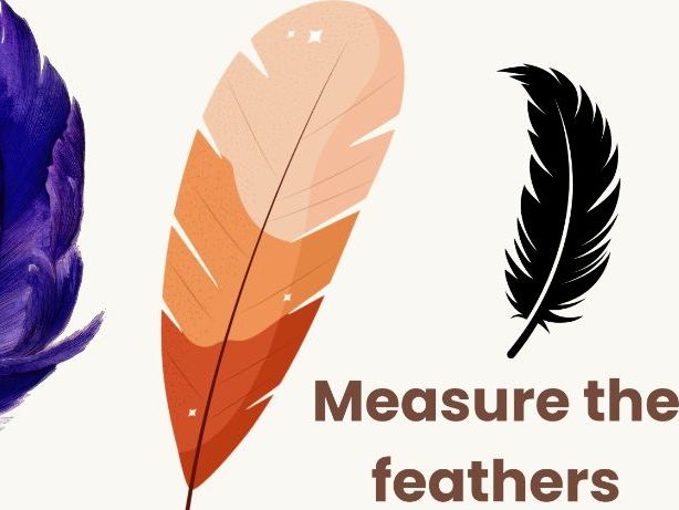 Outdoor Measurement