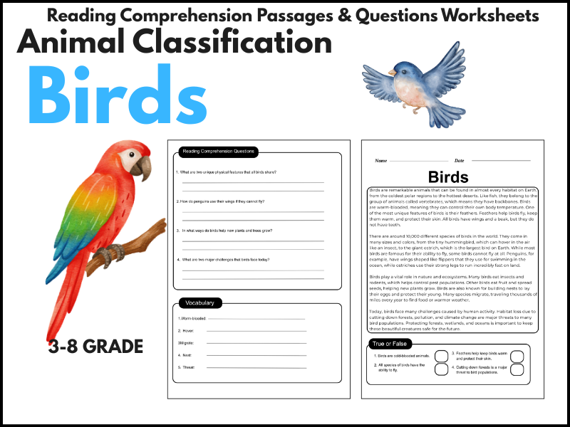 Birds Reading Comprehension Passages & Questions worksheet