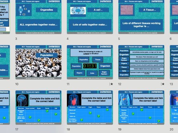 AQA GCSE Biology B3.1 – Tissues and Organs | Full Lesson, Worksheets & Answers (Editable)
