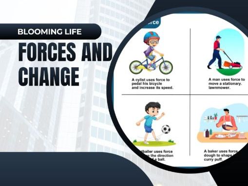 Find the bomb's fuse