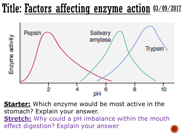 Factors affecting enzyme action - complete lesson (GCSE 1 ... pepsin diagram 