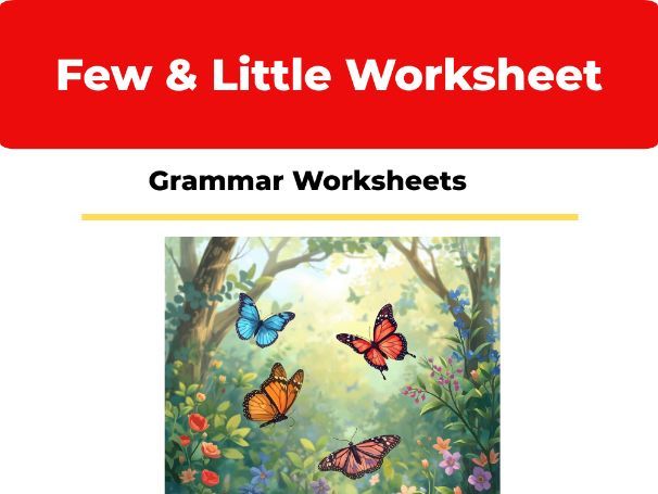Few & Little Worksheet | ESL Grammar Activity | Quantifiers Practice