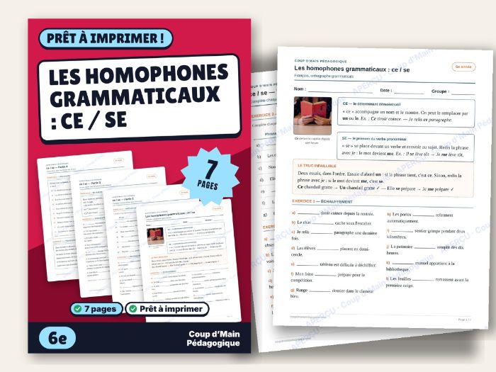 French Homophones ce / se Worksheet Grade 6 Grammar | Les homophones ce / se