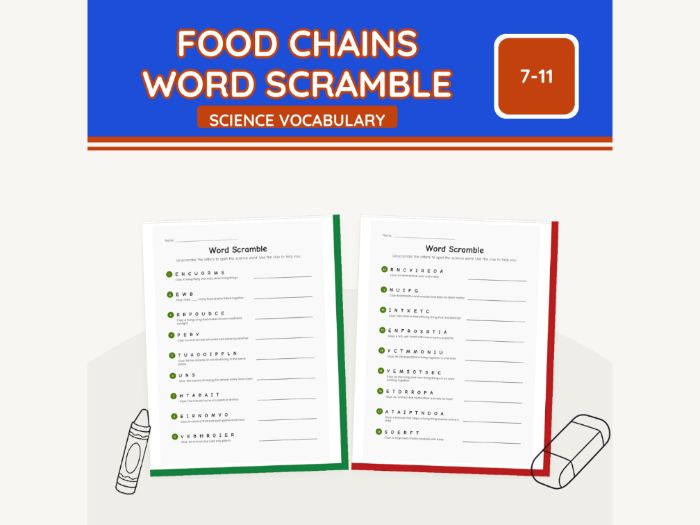 Food Chains Word Scramble KS2 Science | 5 pp