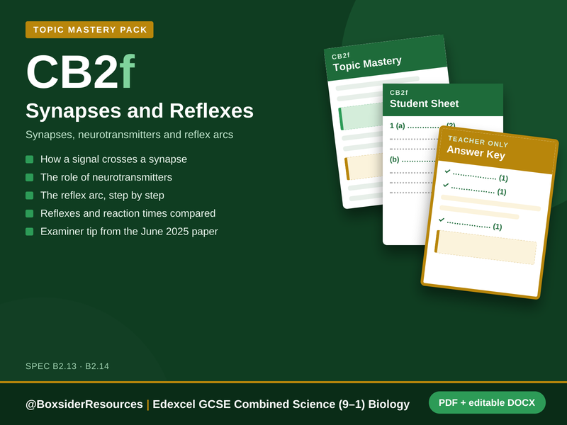 CB2f Synapses and Reflexes | Edexcel GCSE Combined Science Biology Topic Mastery Pack