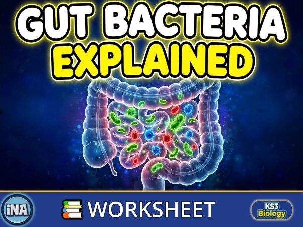 Bacteria in the Digestive System - KS3 Biology Worksheet