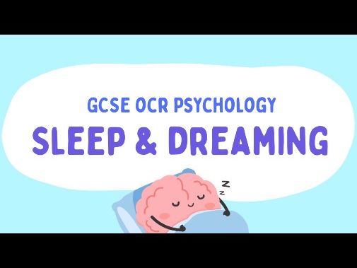 OCR GCSE Psychology Sleep and Dreaming Resources