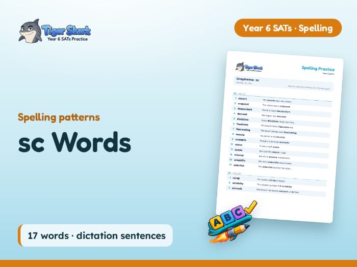 sc Words: Year 6 Spelling Patterns