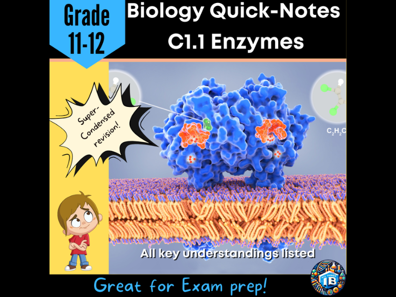 IB DP Biology C1.1 Enzymes - Condensed Topic Notes 2026