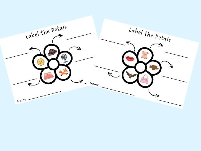Label the Petals - CVC Writing