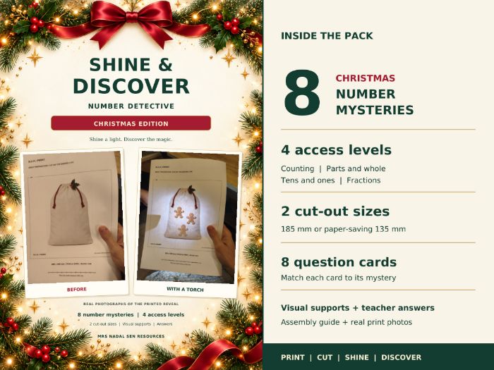 Christmas Torch Maths | SEN Number Detective