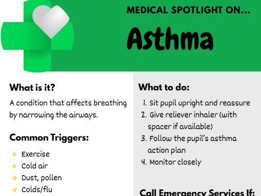 First Aid Medical Board Posters and Resources Pack