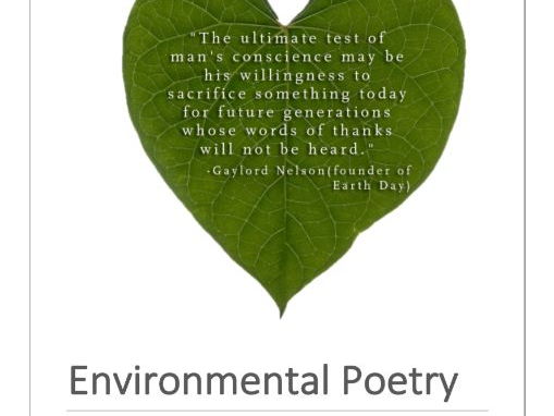 Environmental Poetry Year 8