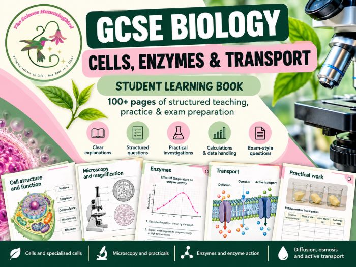 GCSE Biology: Cells, Enzymes & Transport
