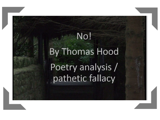 thomas hood analysis thomas hood analysis