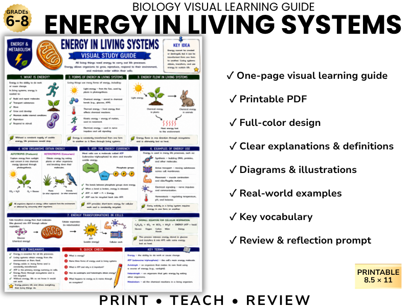 ENERGY IN LIVING SYSTEMS | Cell Biology Visual Learning Guide | Grade 8 & Middle School Science
