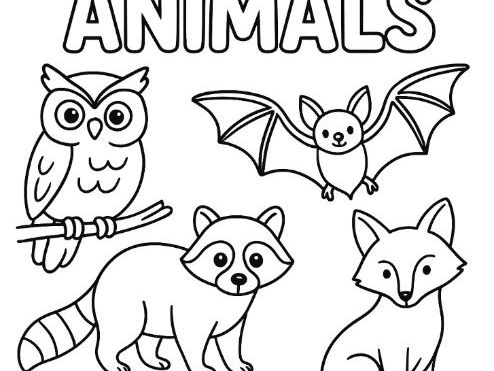 Nocturnal Animals Colouring Page