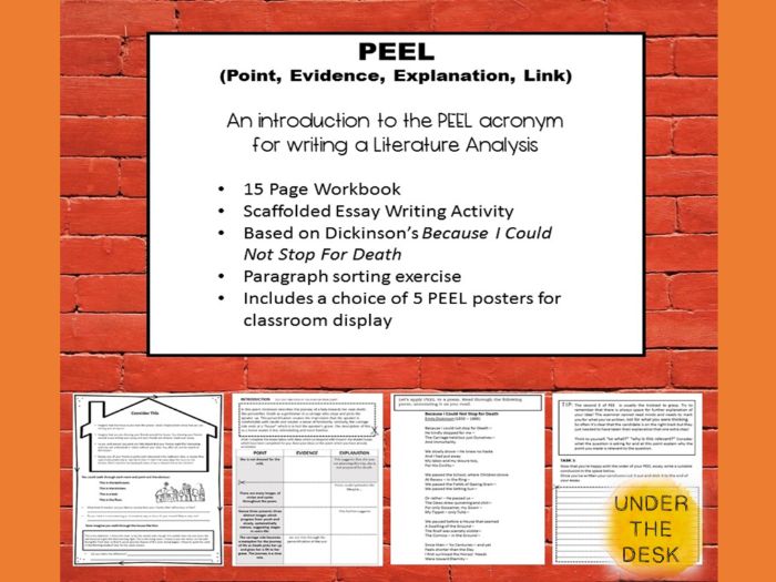 Writing a Literary Analysis using the PEEL acronym- based on "Because I Could Not Stop For Death"