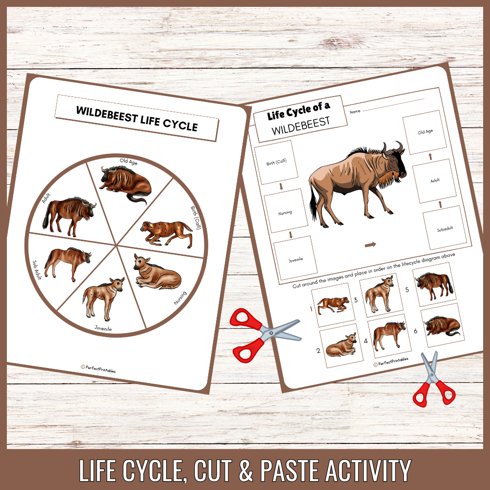African Wildebeest Life Cycle: Grassland Animal Science Unit Study ...
