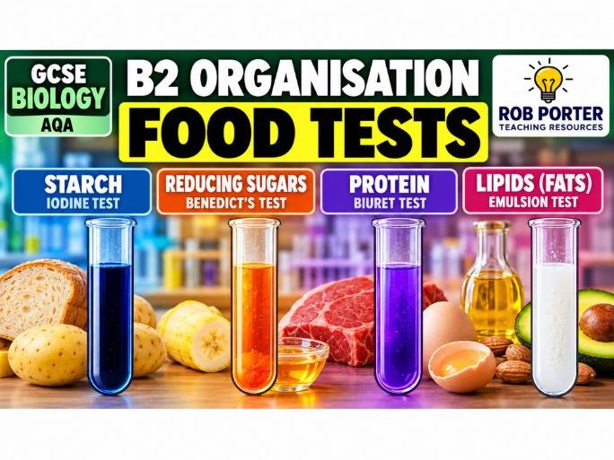 GCSE Biology Food Tests Required Practical – Knowledge Organiser + 30 Questions & Answers