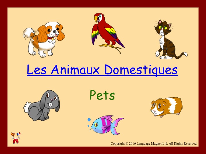 French Pets Topic Resources Bundle Teaching Resources