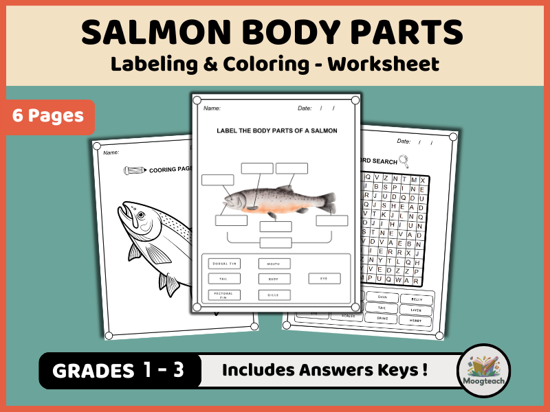 Salmon Body Parts Worksheet, Labeling Diagram, Coloring Page, Word Search Printable (PDF)