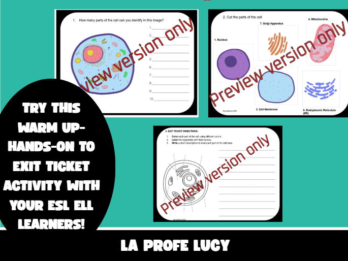 ESL BIOLOGY CELL ORGANELLES STRUCTURE AND FUNCTION