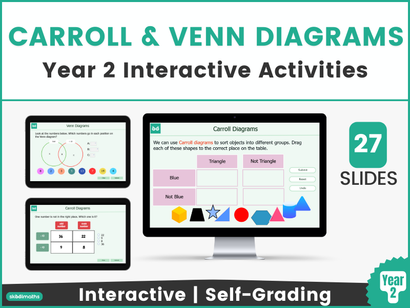 Carroll & Venn Diagrams for Year 2 | Sorting by Properties | Printable Worksheets