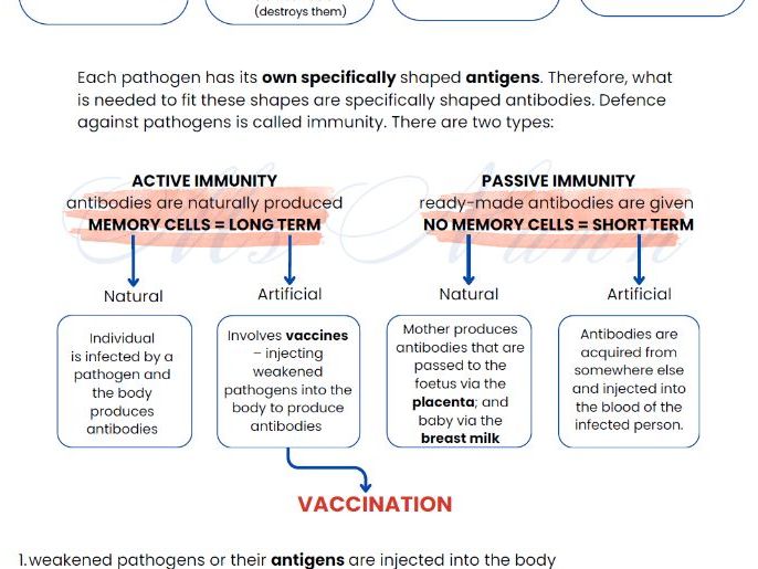IGCSE Biology – Complete, Exam-Focused Revision Resources (Cambridge IGCSE 0610 / 0970)
