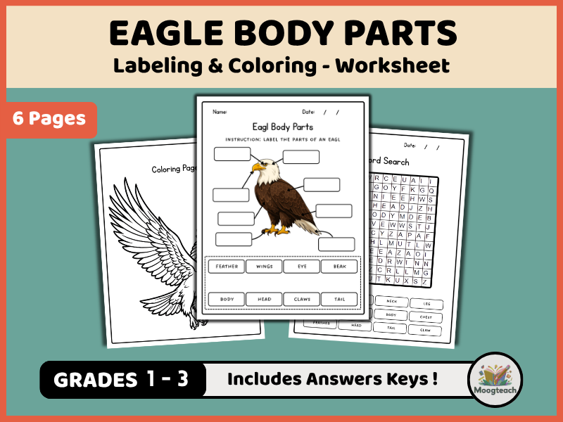 Eagle Body Parts | Bird Anatomy | Labeling | Coloring Worksheet | Birds of Prey | EYFS | KS1