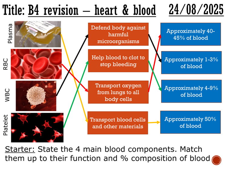 The heart and blood vessels (revision) - complete lesson (GCSE 1-9)