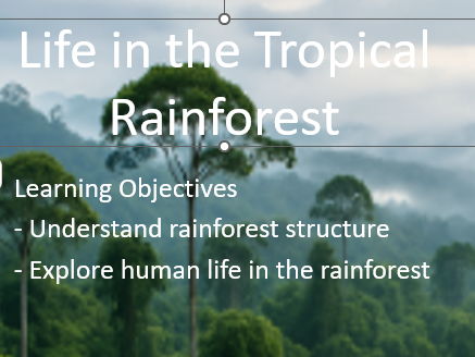 Tropical Rainforests:  Brazil