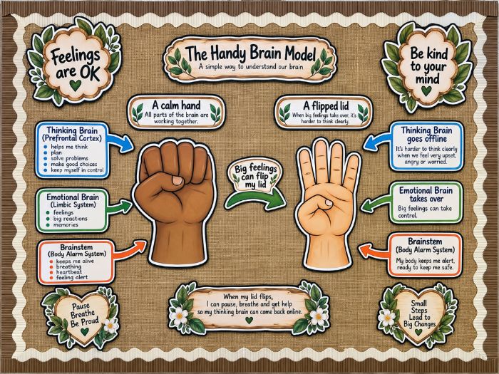 The Handy Brain Model - Feelings and Emotional Regulation Display