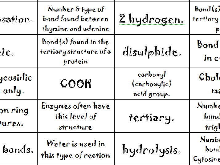 Biological molecules - All bond types