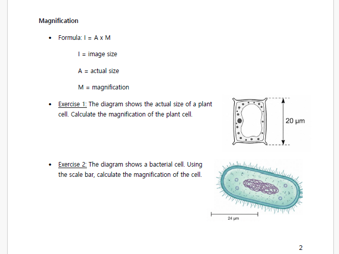 Math Skills for IB Biology students
