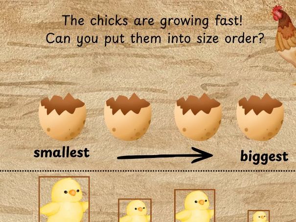 Spring / Easter - Size Ordering