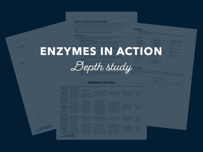 Enzymes in Action | Year 11 Depth Study
