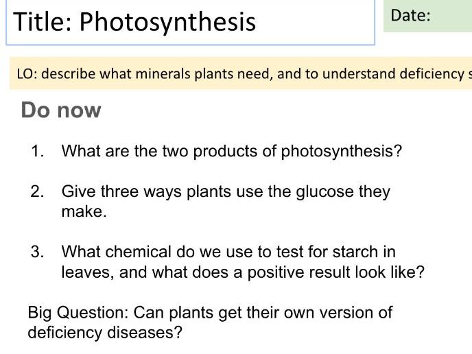 Mineral deficiency in plants