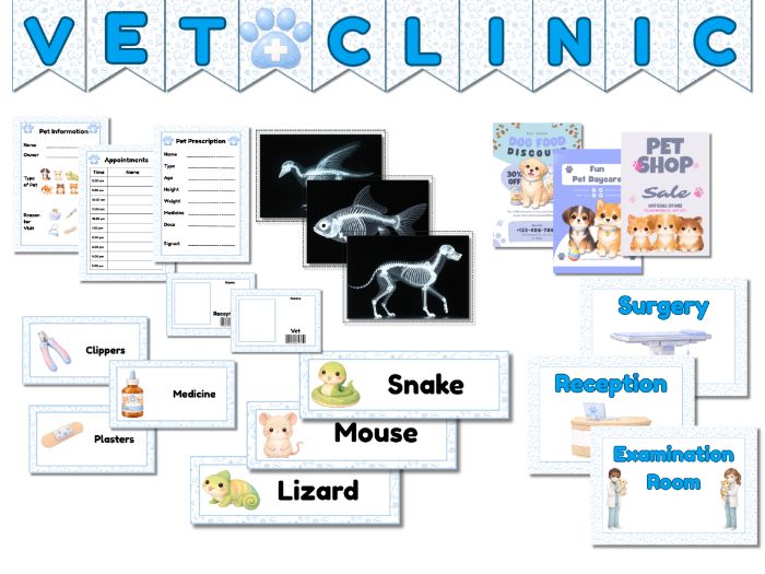 Vet Clinic Role Play Pack, EYFS & KS1 Veterinary Surgery Classroom Role Play Area