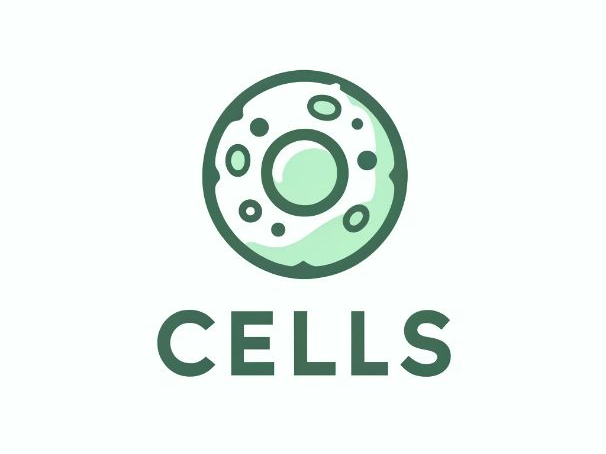 Specialised plant cells lesson KS3/KS4 Biology