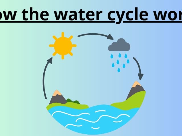 The Water Cycle Story Reader | Evaporation, Condensation, Precipitation & Collection | ESL Science